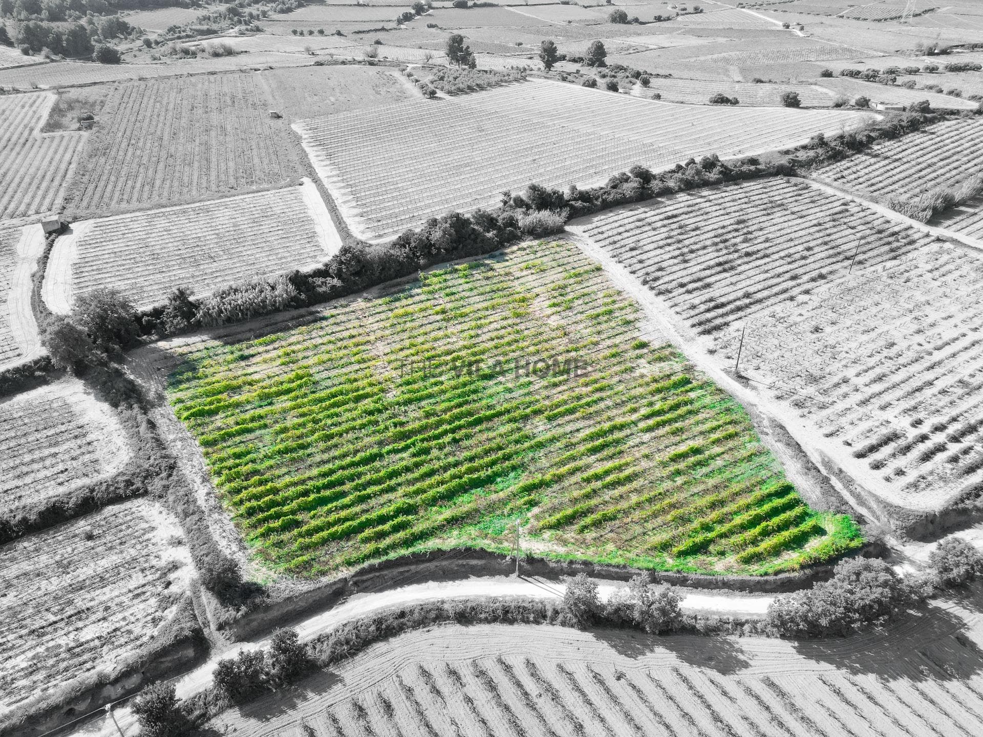 terreno en L Arboç — foto 1 de 15