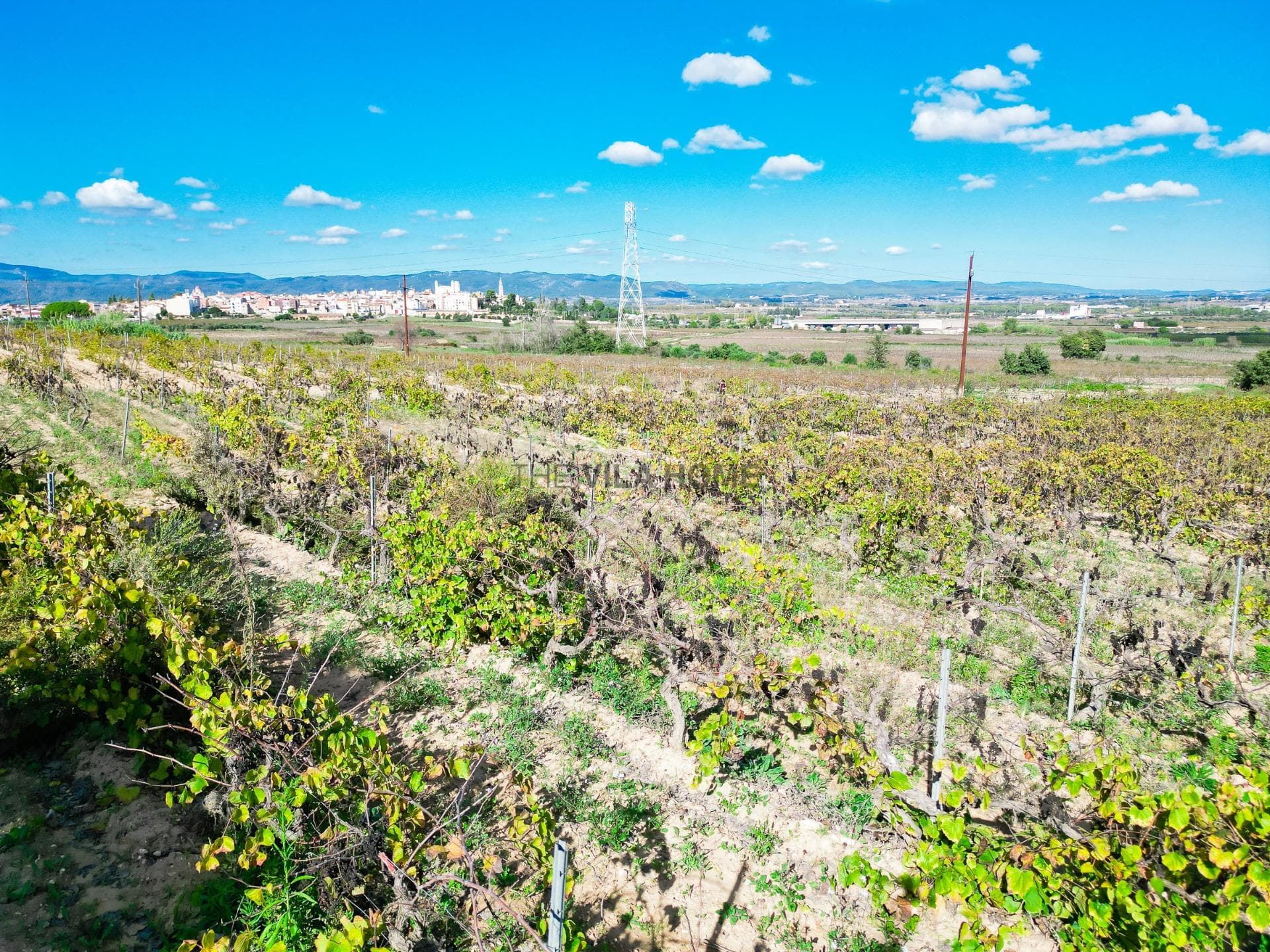terreno en L Arboç — foto 12 de 15