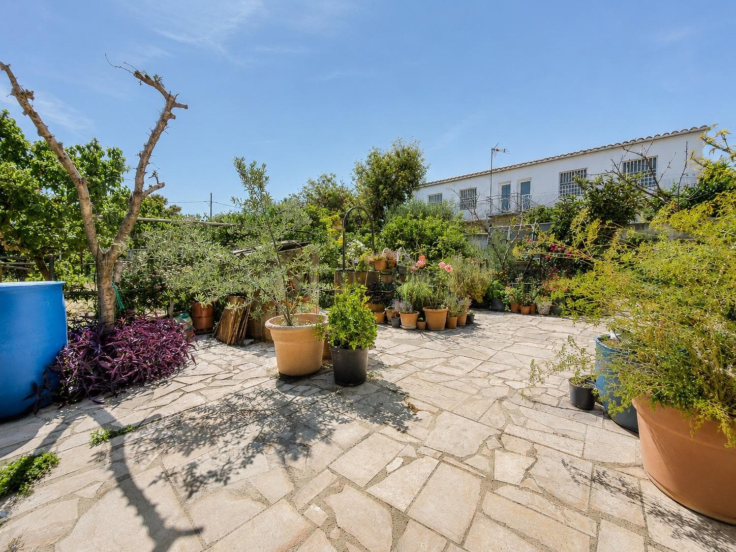 finca rústica en Vilanova i la Geltru — foto 40 de 45